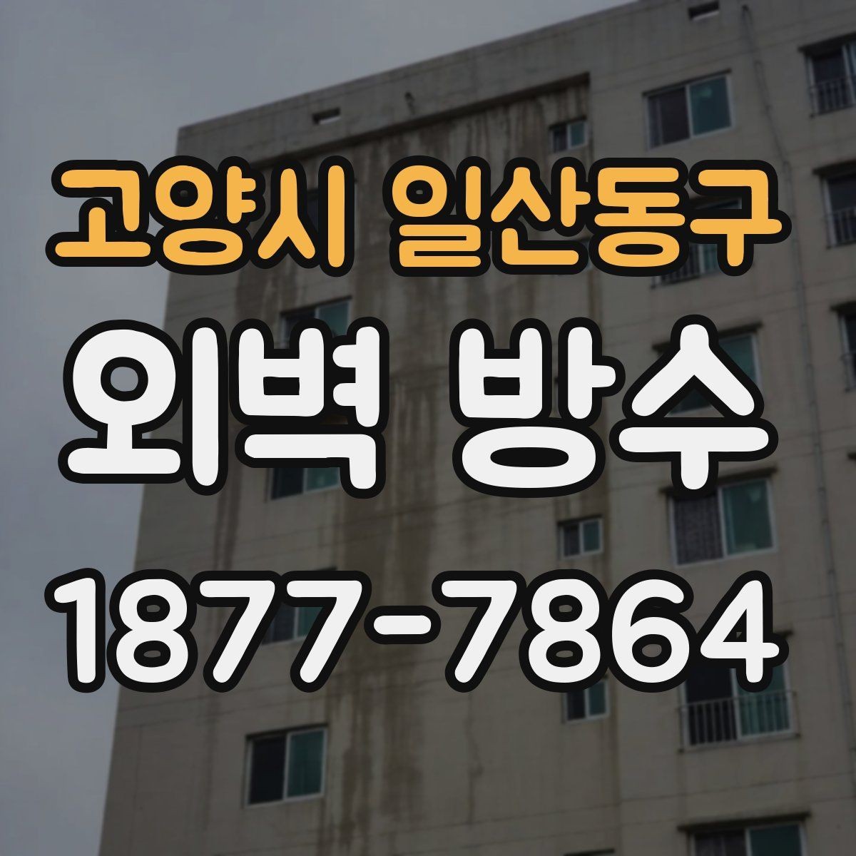 고양시 일산동구 외벽 방수 필요 여부를 판단하는 체크리스트