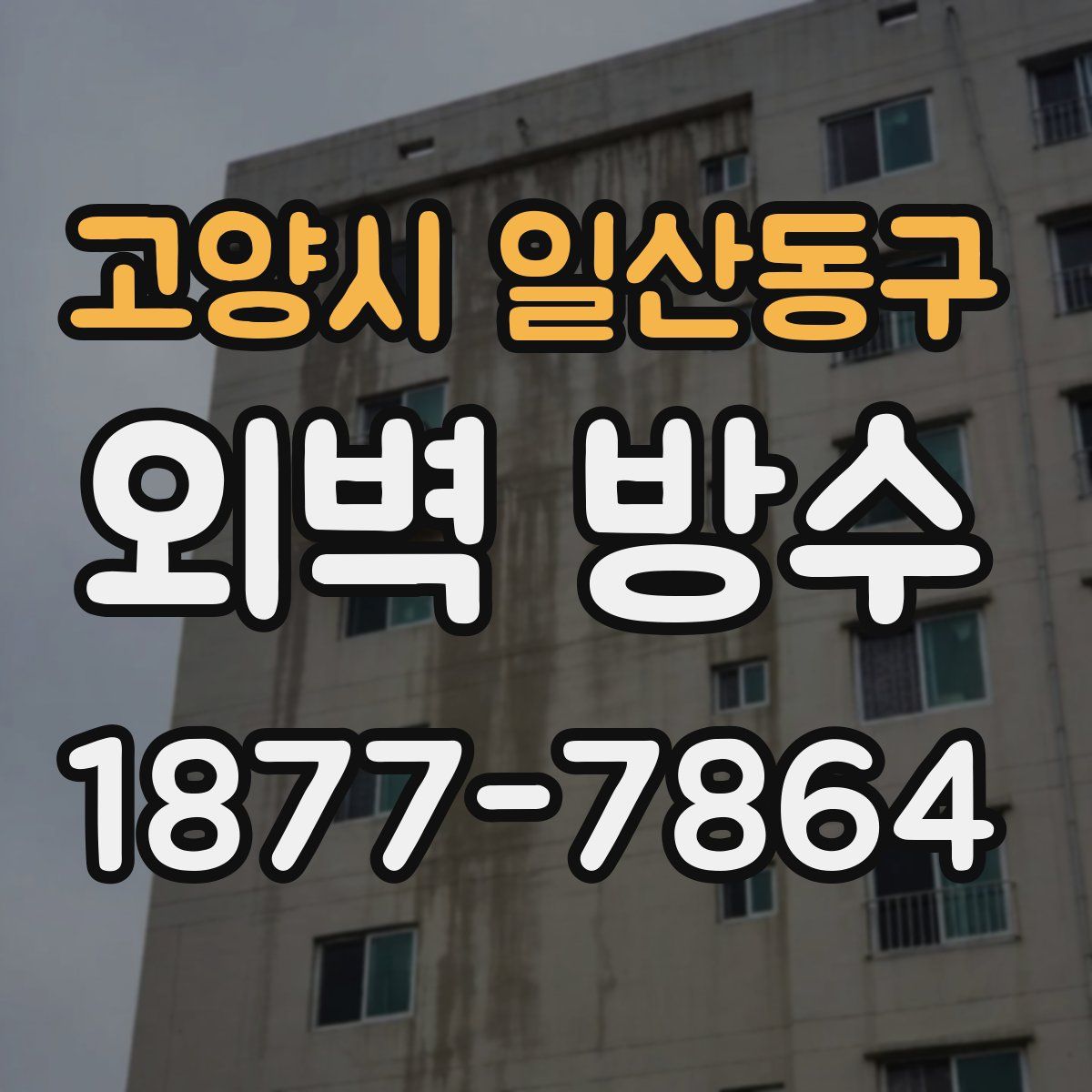 고양시 일산동구 외벽 방수