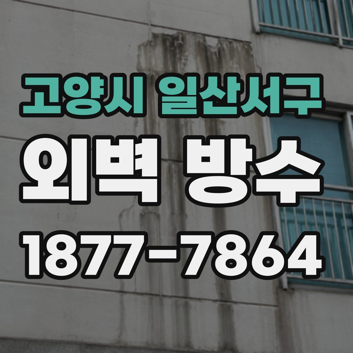 고양시 일산서구 외벽 방수