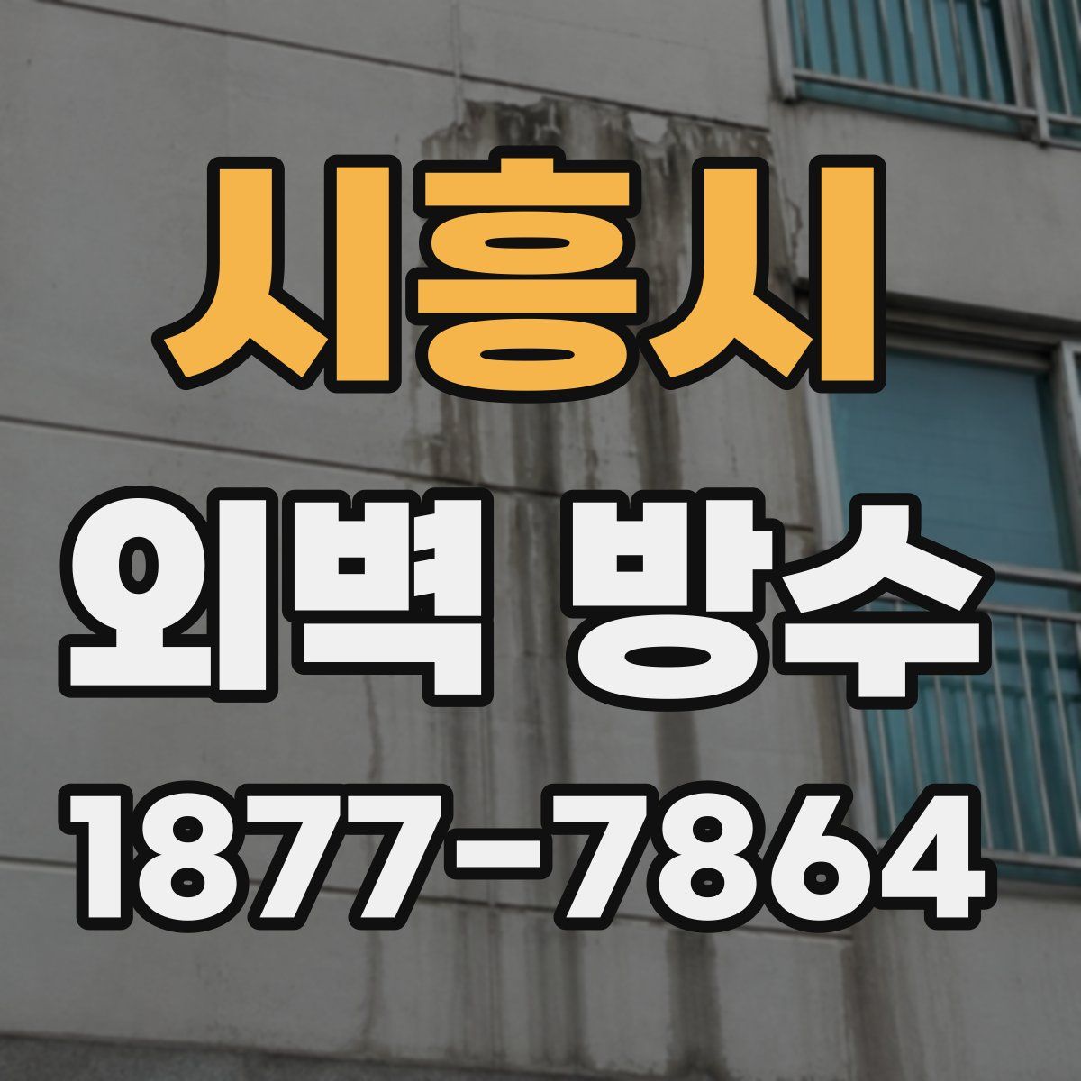 시흥시 외벽 방수