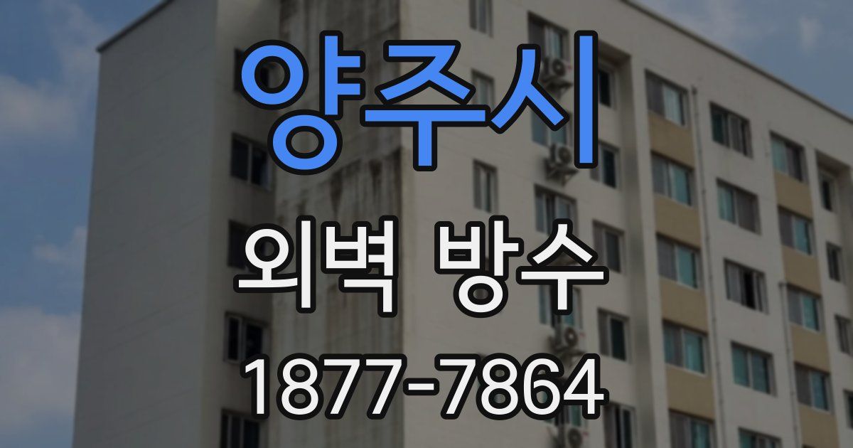 양주시 외벽 방수