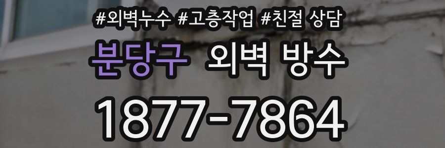 분당구 외벽 방수