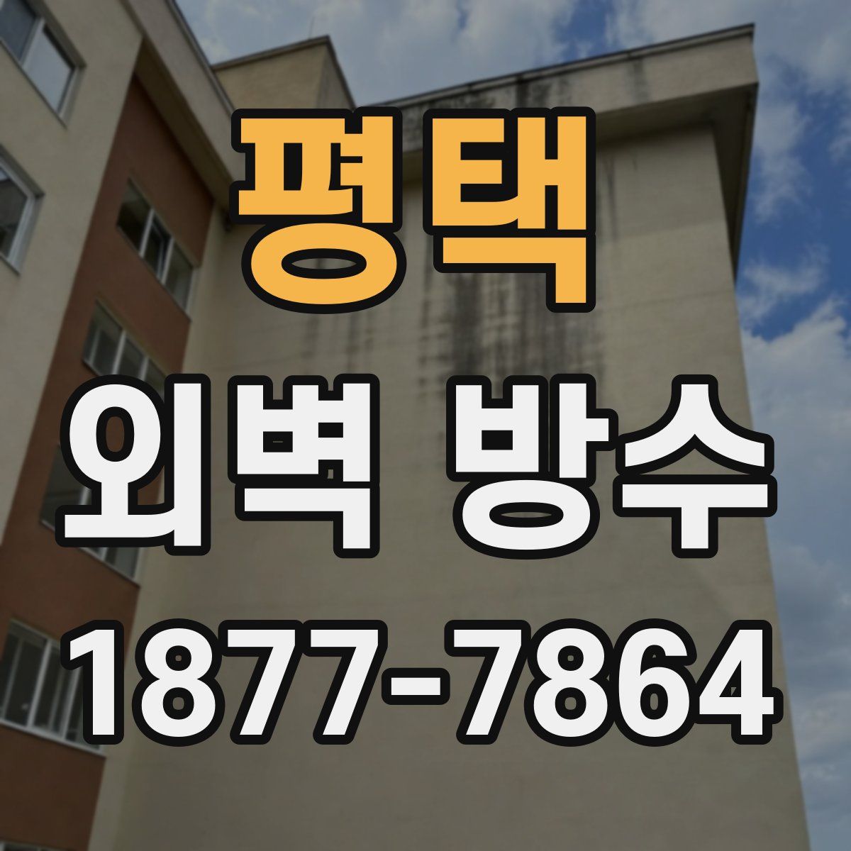 평택 외벽 방수