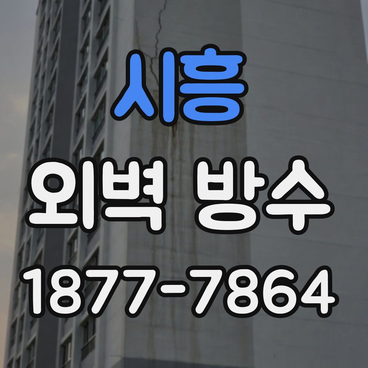 시흥 외벽 방수