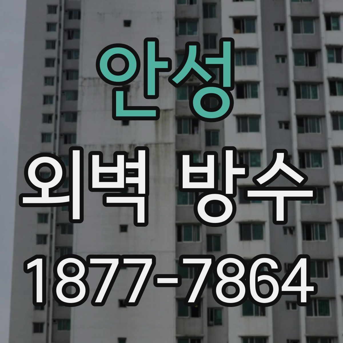안성 외벽 방수