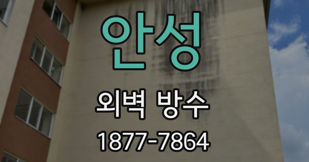 안성 외벽 방수