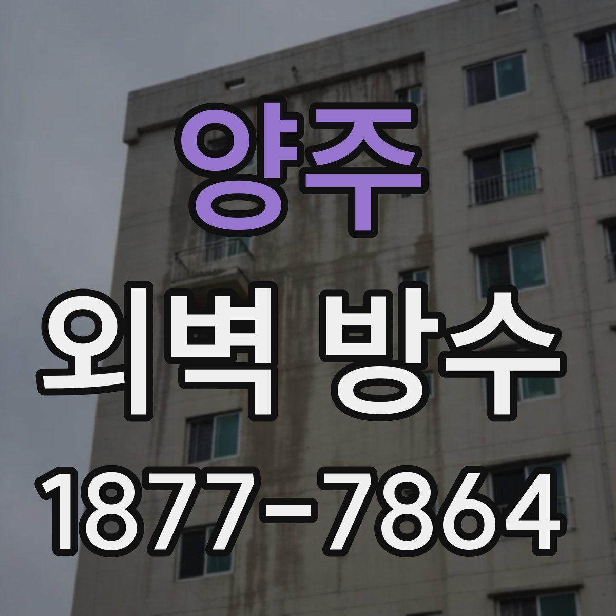 양주 외벽 방수