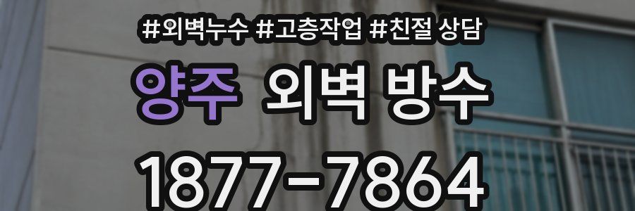 양주 외벽 방수