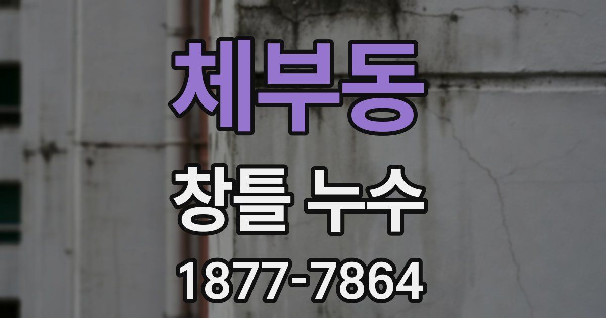체부동 창틀 누수