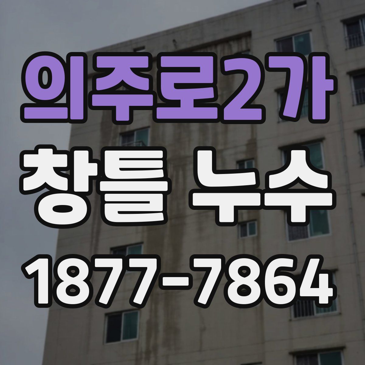 의주로2가 창틀 누수