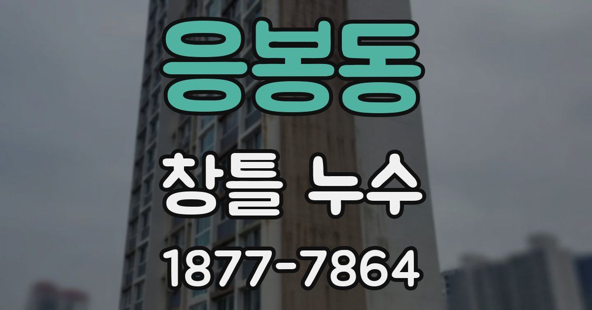 응봉동 창틀 누수