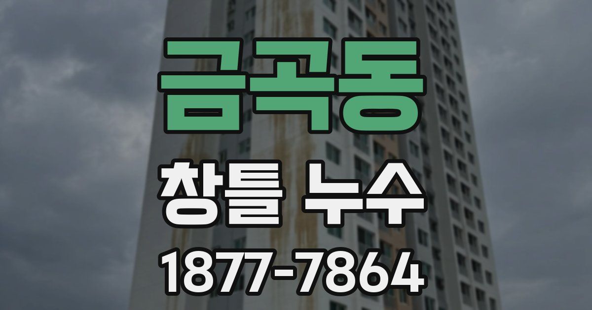 금곡동 창틀 누수