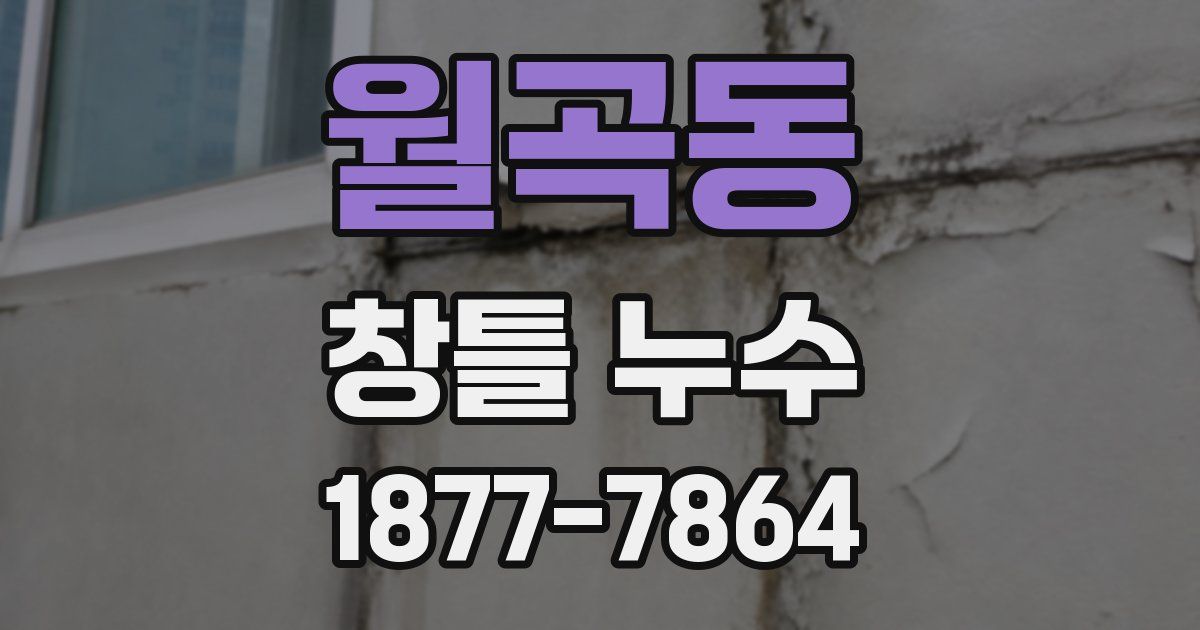 월곡동 창틀 누수