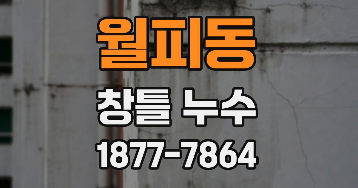 월피동 창틀 누수