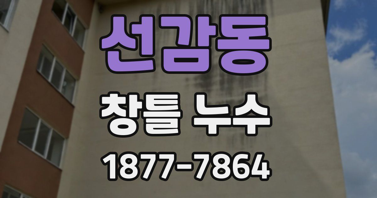 선감동 창틀 누수
