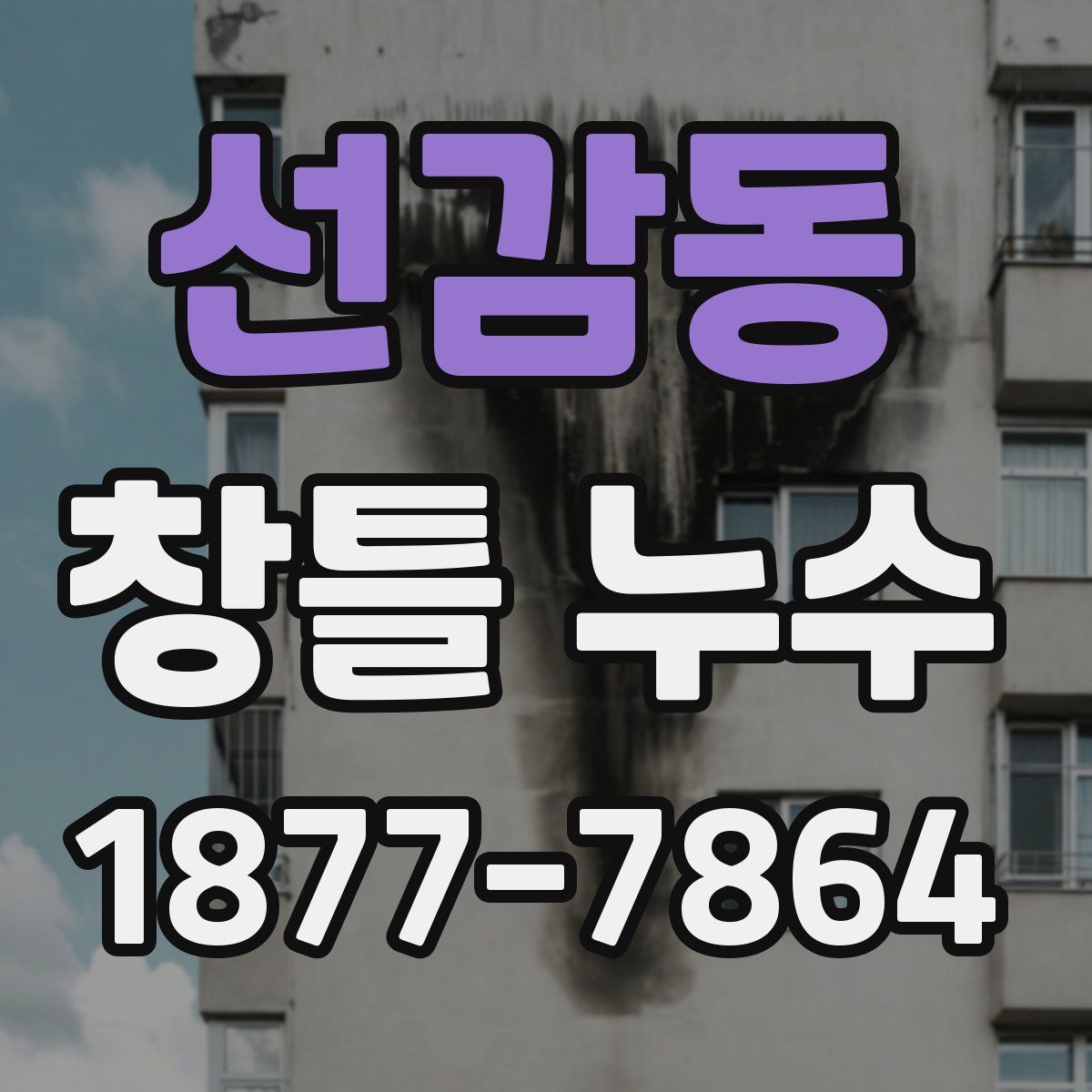 선감동 창틀 누수