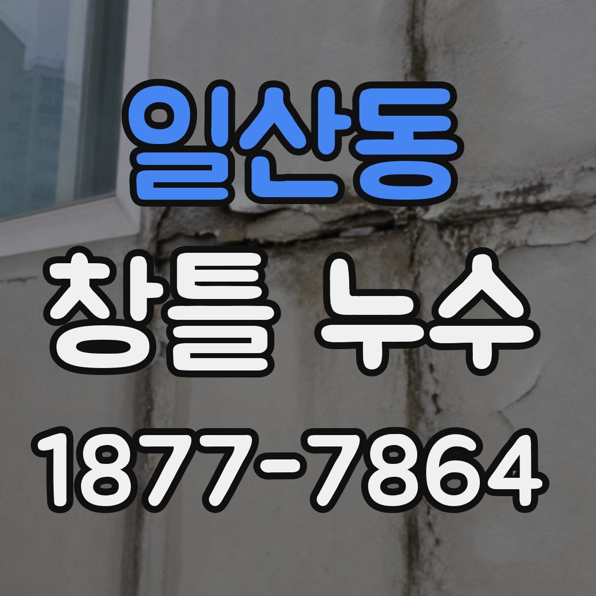 일산동 창틀 누수