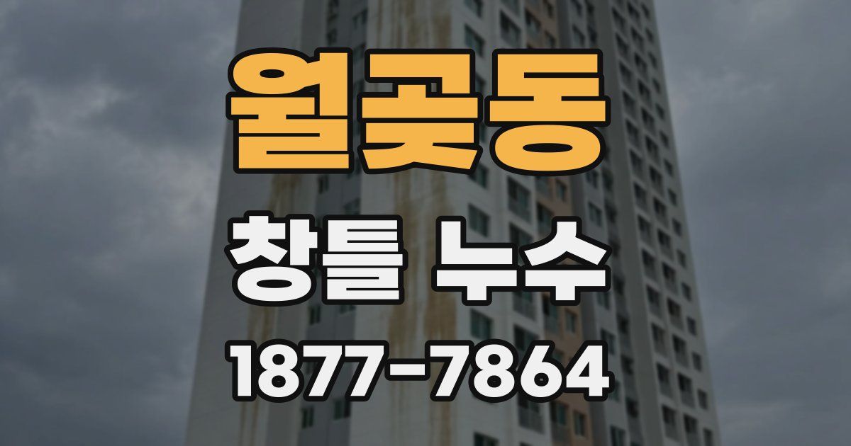 월곶동 창틀 누수