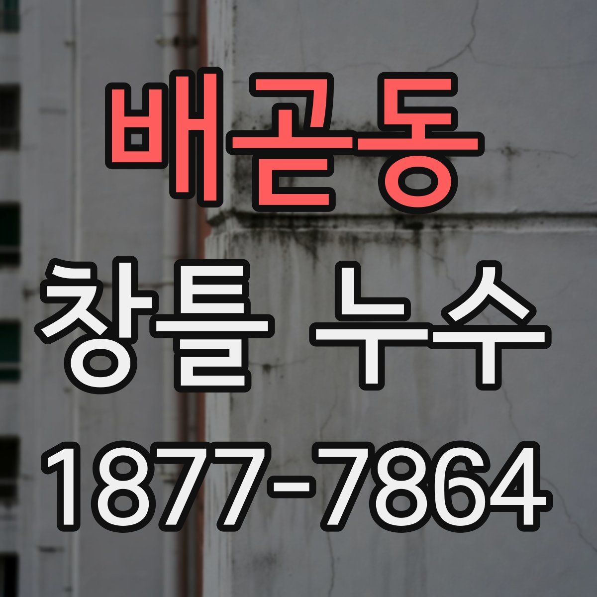 배곧동 창틀 누수