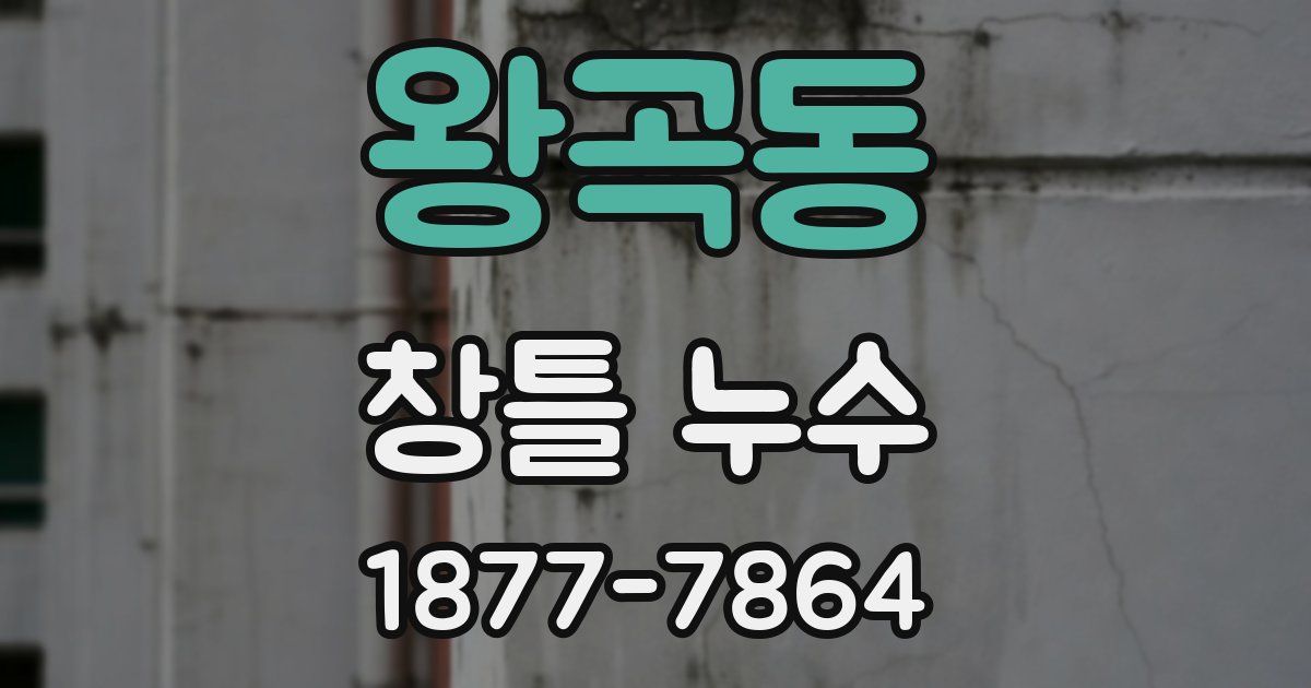 왕곡동 창틀 누수