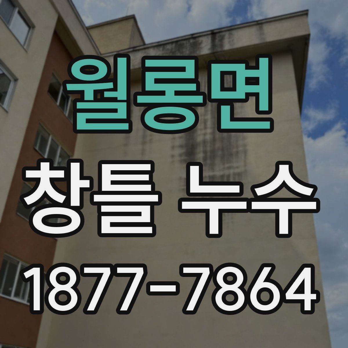 월롱면 창틀 누수 해결 전에 비교해야 할 조건