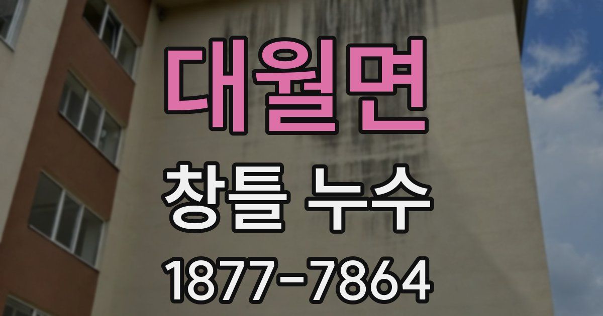 대월면 창틀 누수