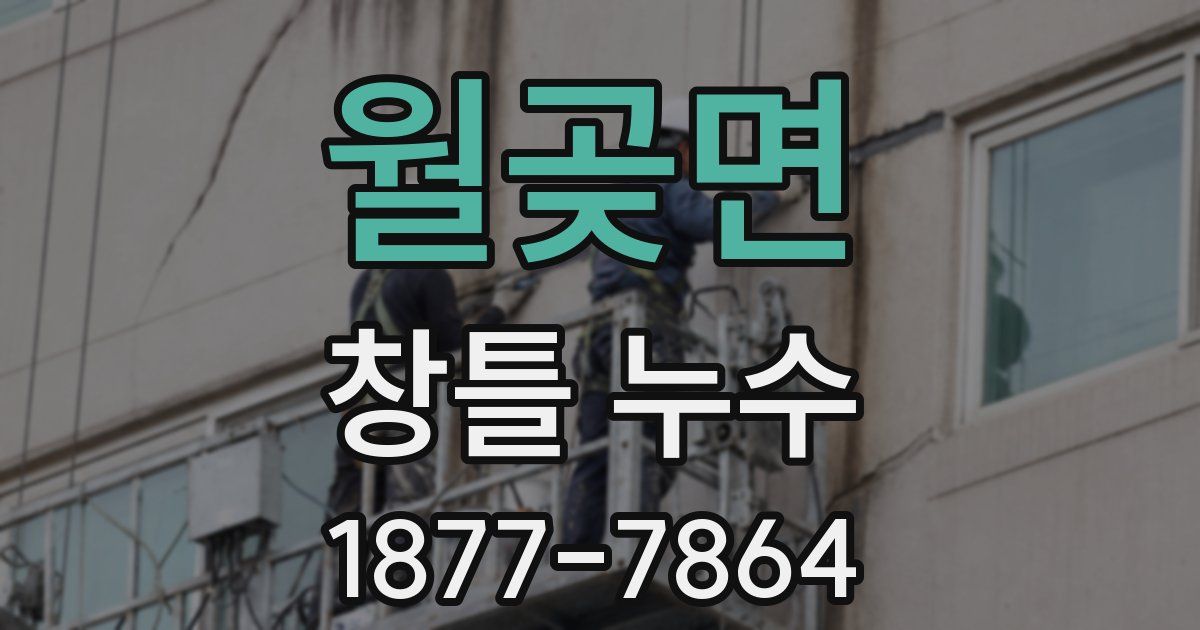 월곶면 창틀 누수