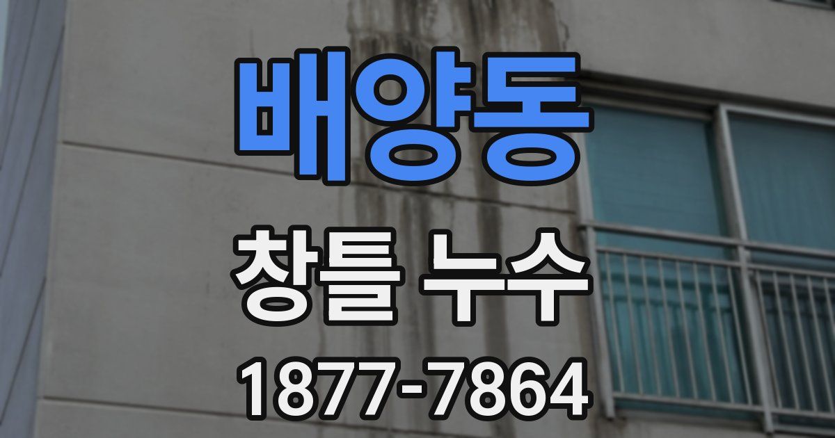 배양동 창틀 누수