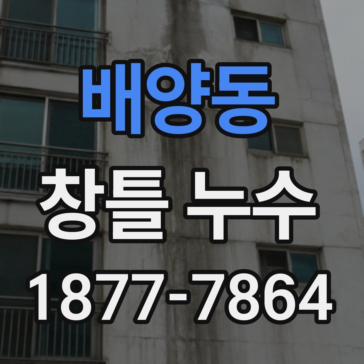 배양동 창틀 누수