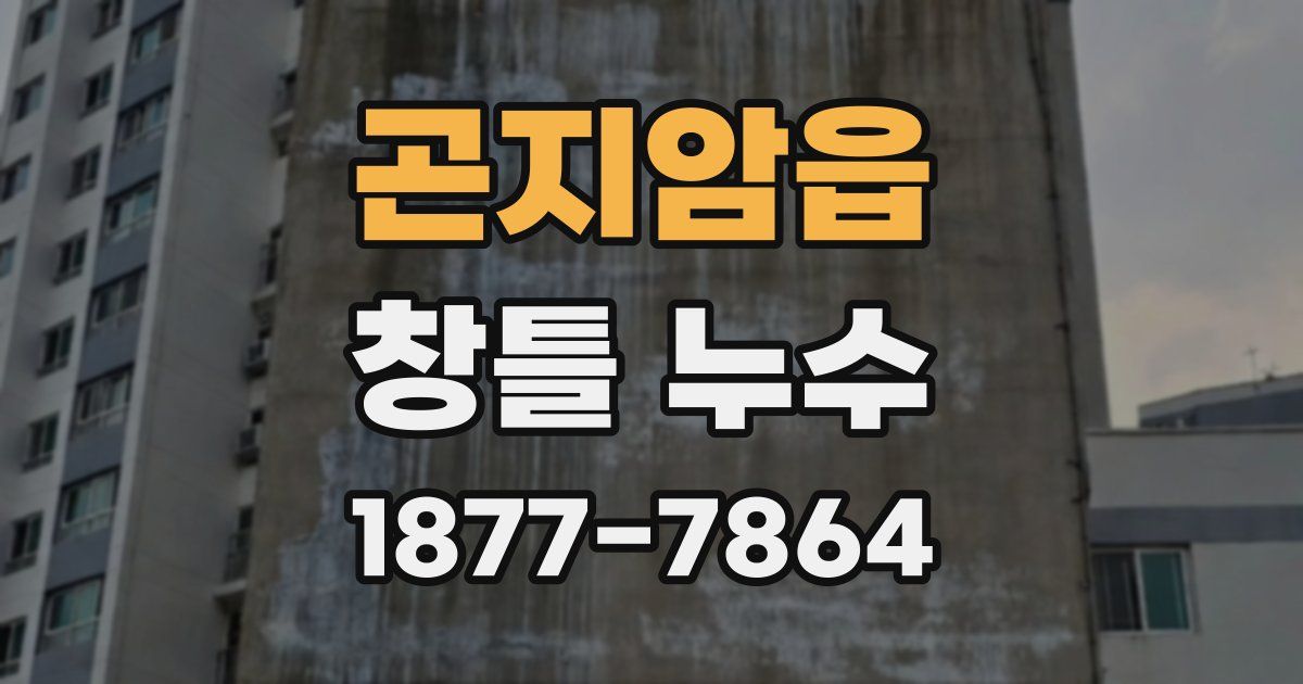 곤지암읍 창틀 누수
