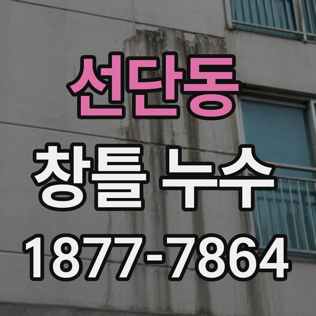 선단동 창틀 누수 실내 벽 손상 전 체크해야 할 점