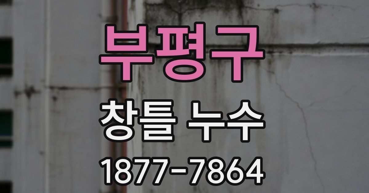 부평구 창틀 누수