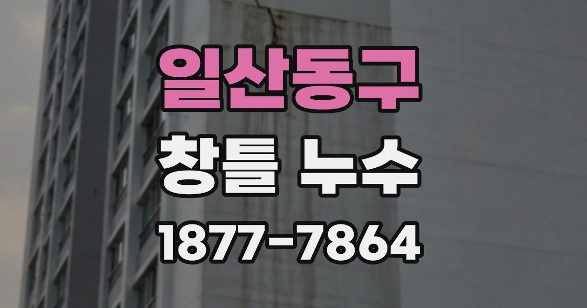 일산동구 창틀 누수