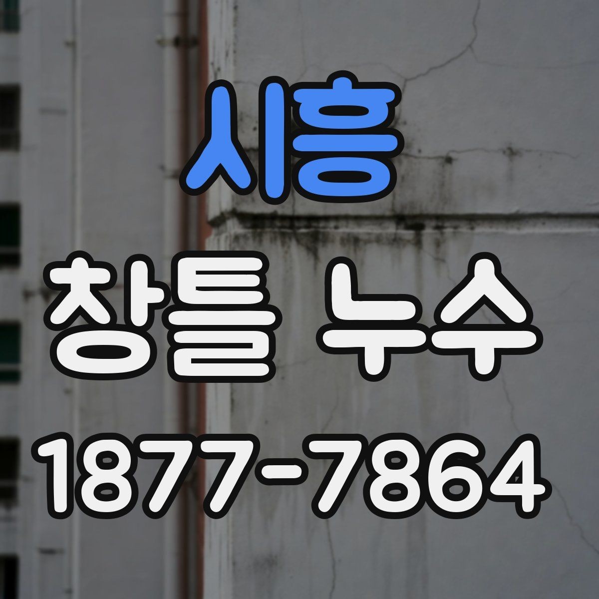 시흥 창틀 누수 원인과 점검할 부분