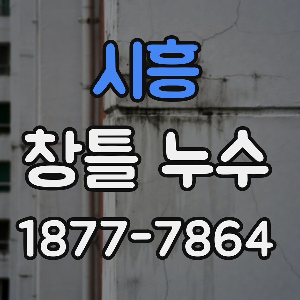 시흥 창틀 누수