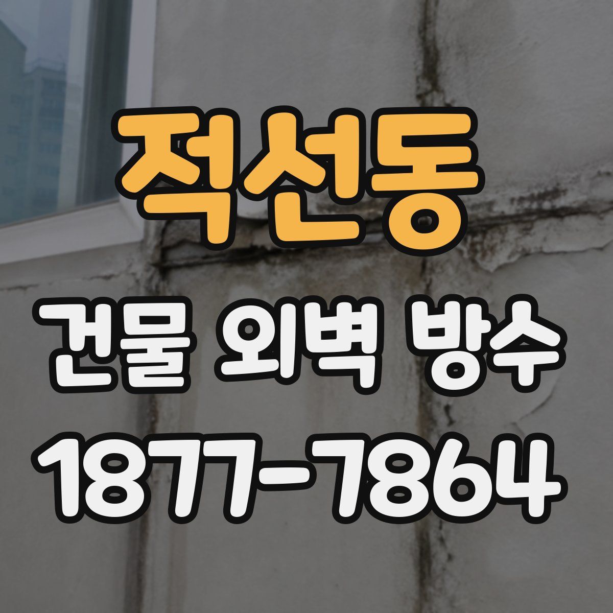 적선동 건물 외벽 방수