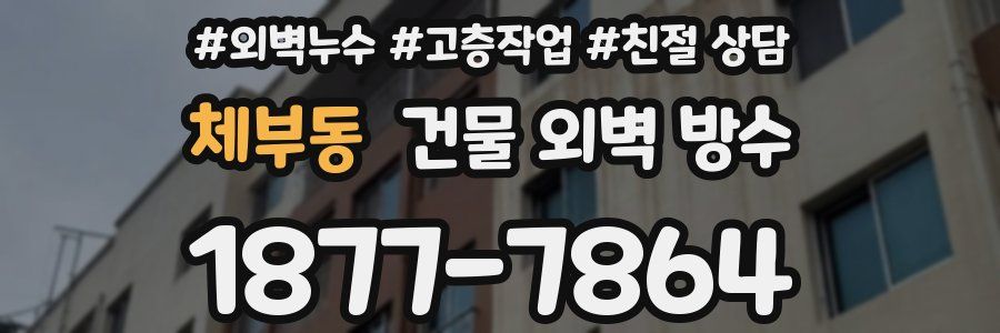 체부동 건물 외벽 방수