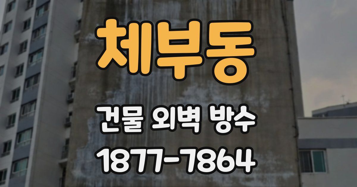 체부동 건물 외벽 방수