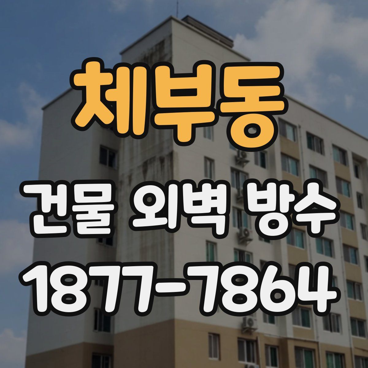 체부동 건물 외벽 방수