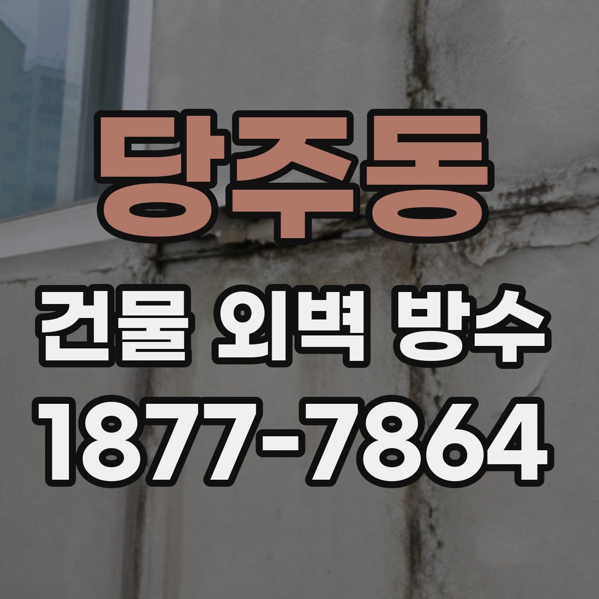 당주동 건물 외벽 방수