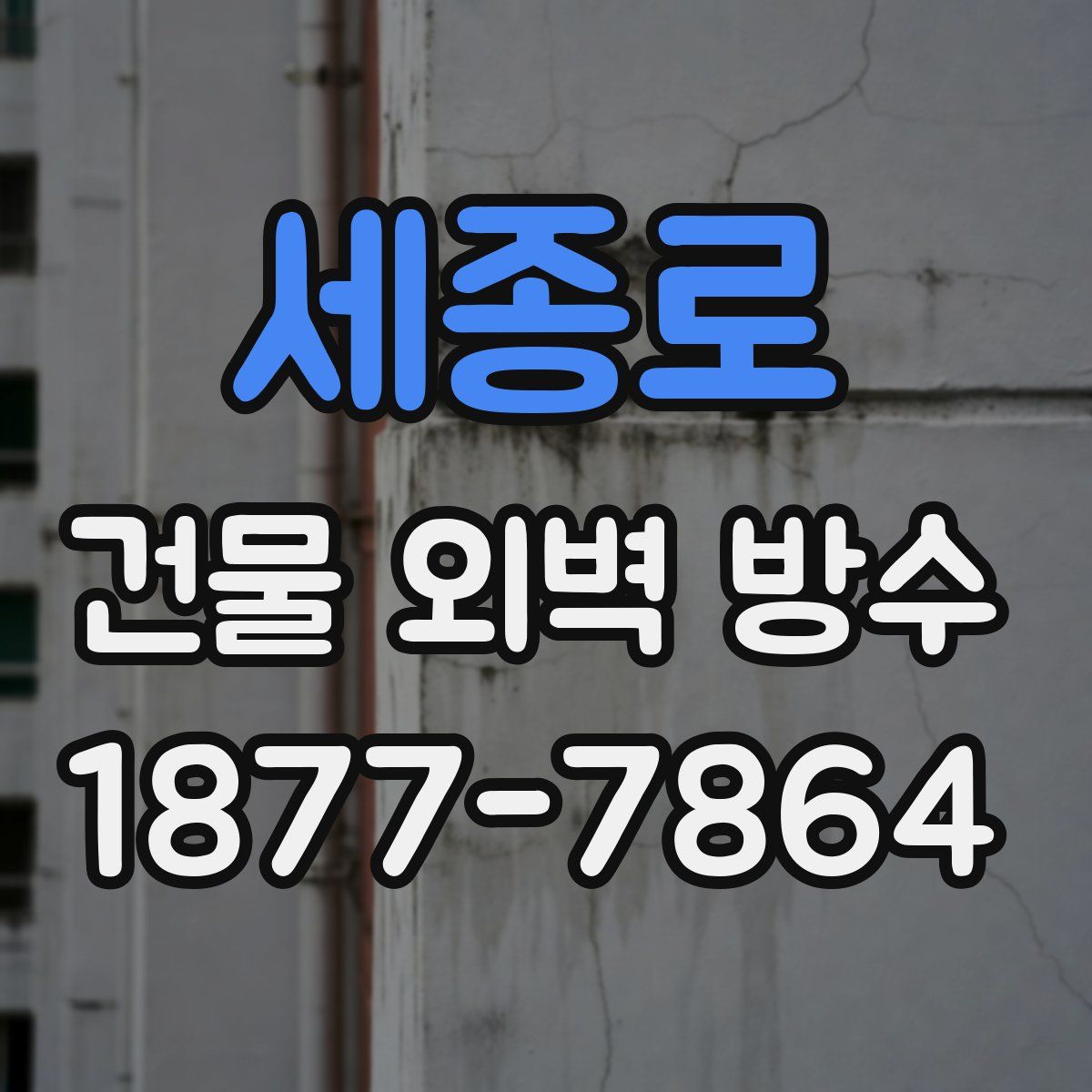 세종로 건물 외벽 방수