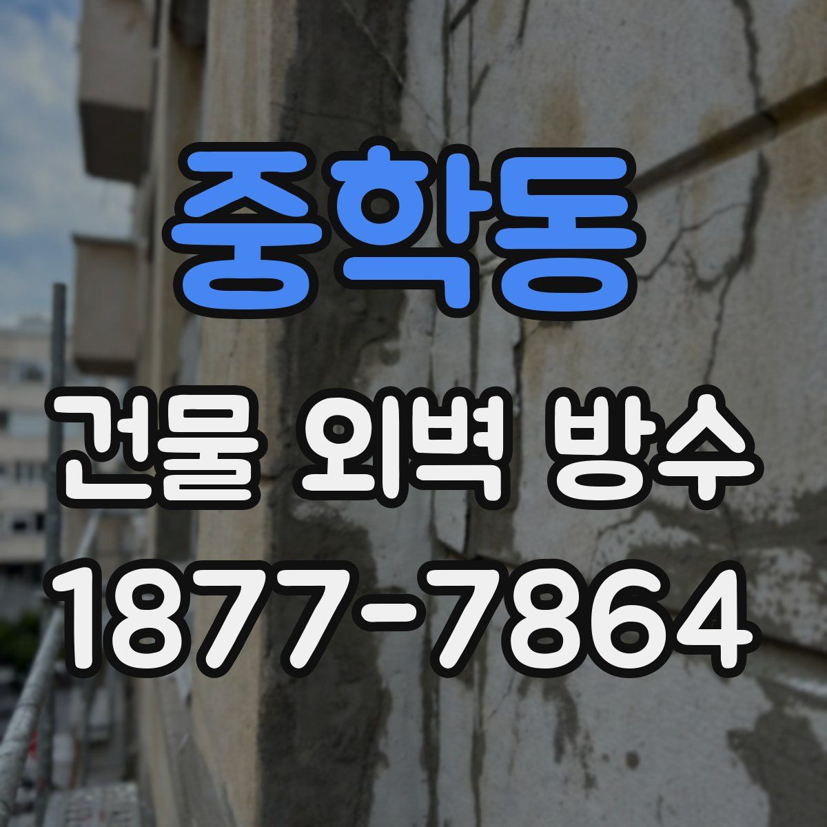 중학동 건물 외벽 방수