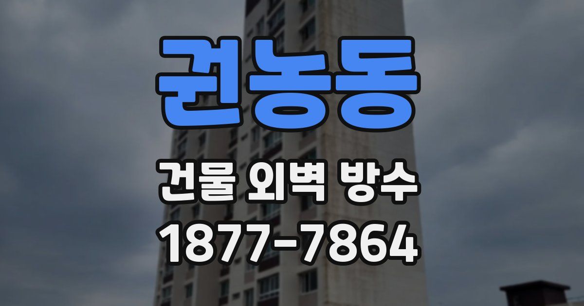 권농동 건물 외벽 방수