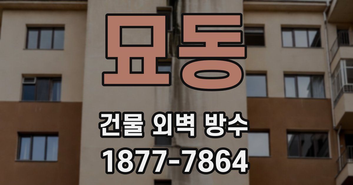 묘동 건물 외벽 방수