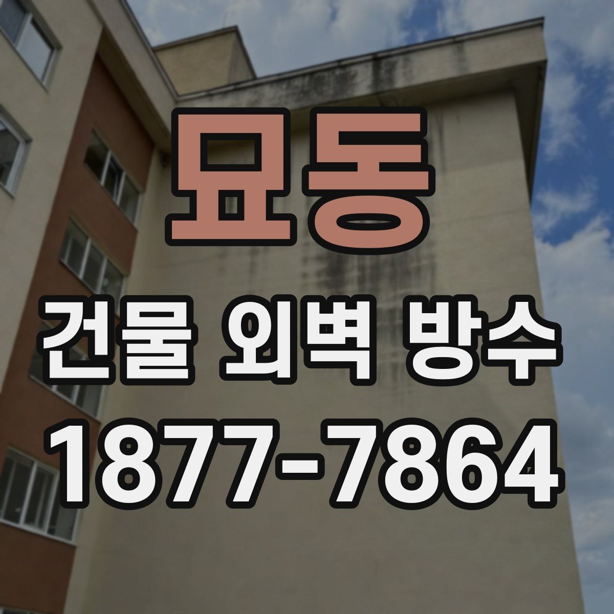 묘동 건물 외벽 방수