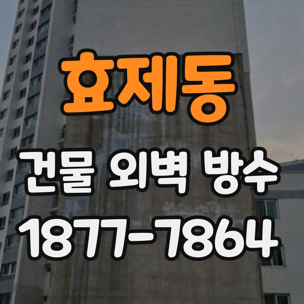 효제동 건물 외벽 방수