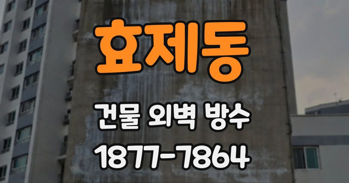 효제동 건물 외벽 방수