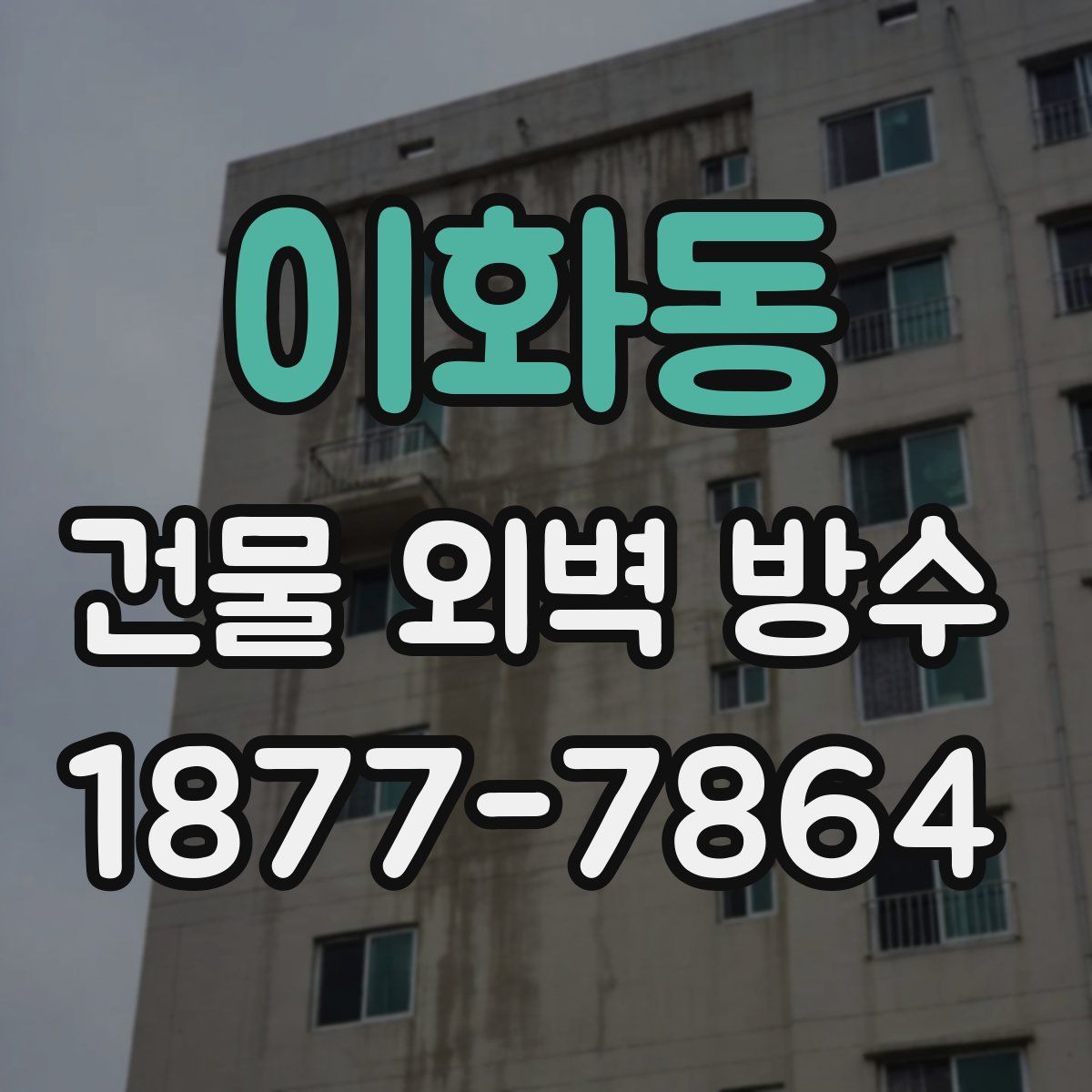 이화동 건물 외벽 방수