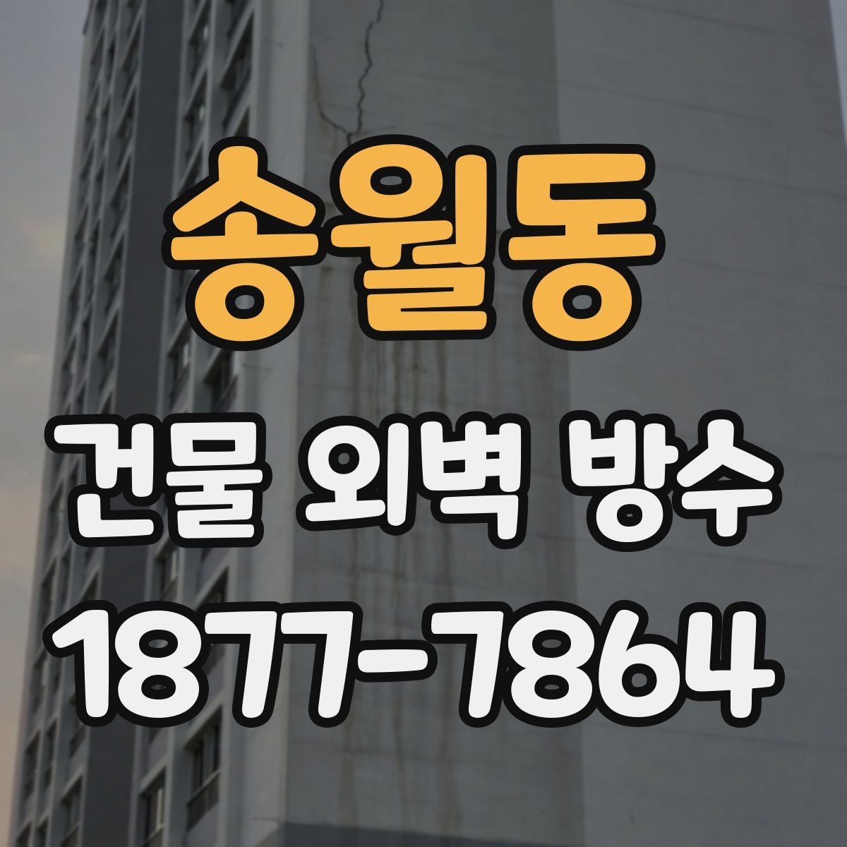 송월동 건물 외벽 방수 벽체 손상 정도에 따른 보수 선택