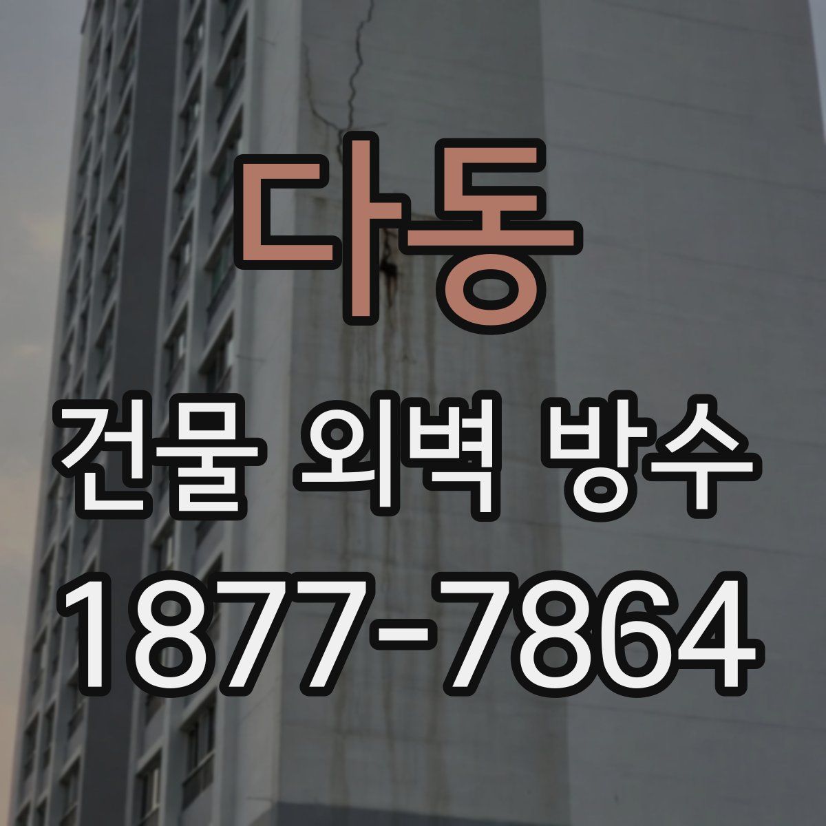 다동 건물 외벽 방수